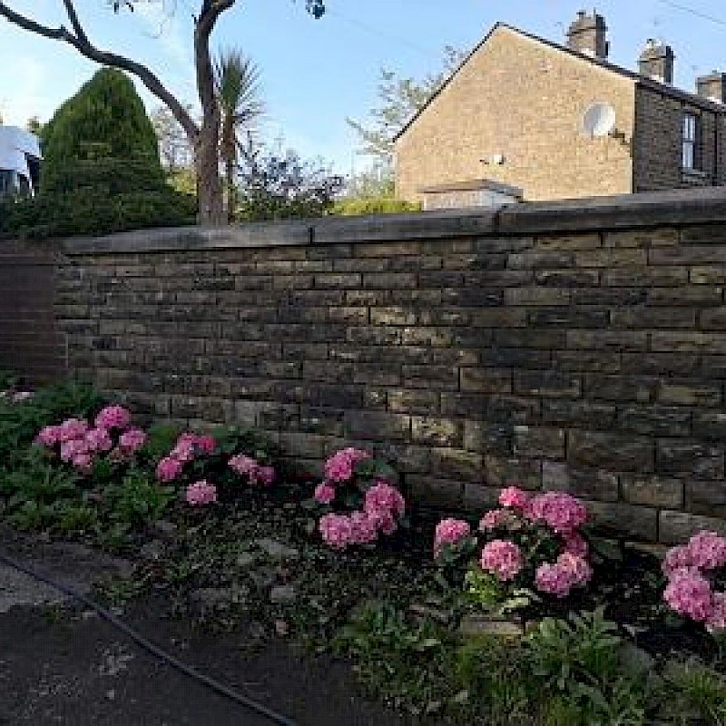 Before garden wall cleaned.